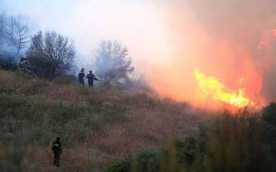 Πατούλης-Βίλια: Εντολή εκκένωσης δίνει μόνο ο Αρχηγός της Πυροσβεστικής