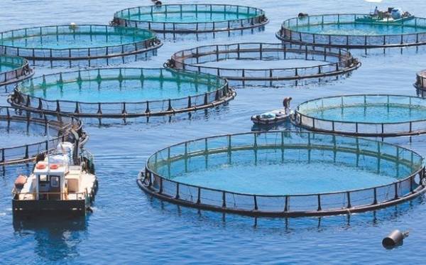 ΥΠΑΑΤ: Ενισχύσεις έως 24.000 ευρώ το μήνα σε πληγέντες αλιείς