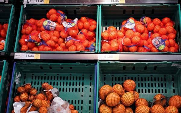 Αυξημένες κατά 26,7% οι εξαγωγές νωπών οπωροκηπευτικών το πρώτο τετράμηνο