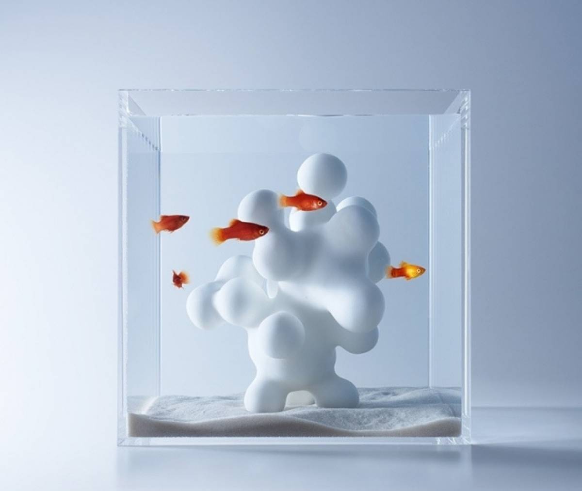 Ενυδρεία με 3D διακοσμητικά