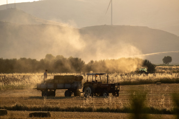Ελληνική επαρχία μόνη, αγρότες ψάχνει