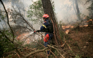 Πυροσβεστική: 264 δασικές πυρκαγιές σε μια εβδομάδα