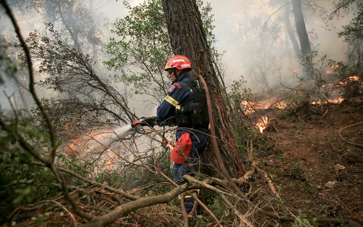 Πυροσβεστική: 264 δασικές πυρκαγιές σε μια εβδομάδα