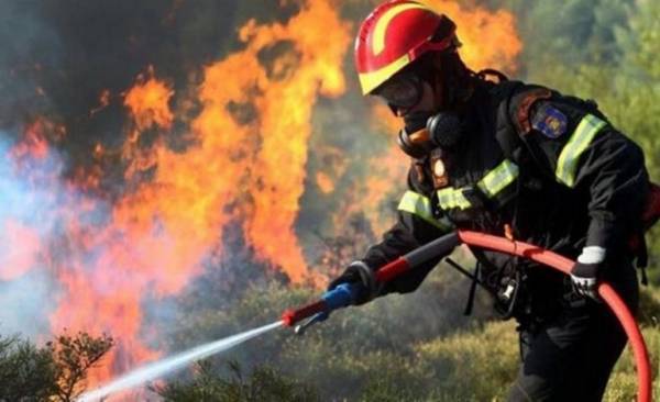Σε εξέλιξη πυρκαγιά στην Αλεξανδρούπολη