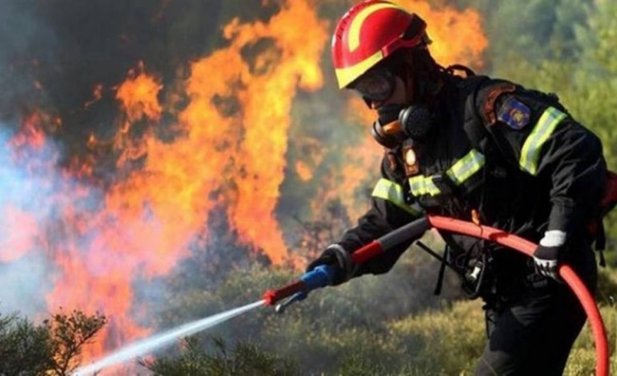 Σε εξέλιξη πυρκαγιά στην Αλεξανδρούπολη