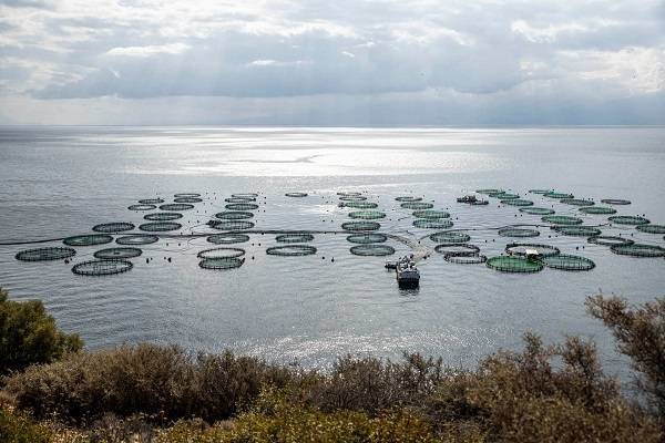 ΕΛΟΠΥ: Eπανεξελέγη πρόεδρος ο Απ. Τουραλιάς- Το νέο ΔΣ