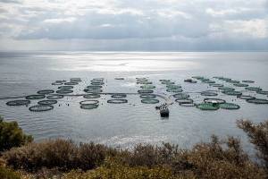ΕΛΟΠΥ: Eπανεξελέγη πρόεδρος ο Απ. Τουραλιάς- Το νέο ΔΣ