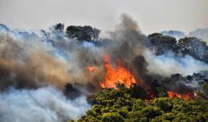 Στήριξη σε όσους εγκατέλειψαν τα σπίτια τους στον δήμο Σαρωνικού
