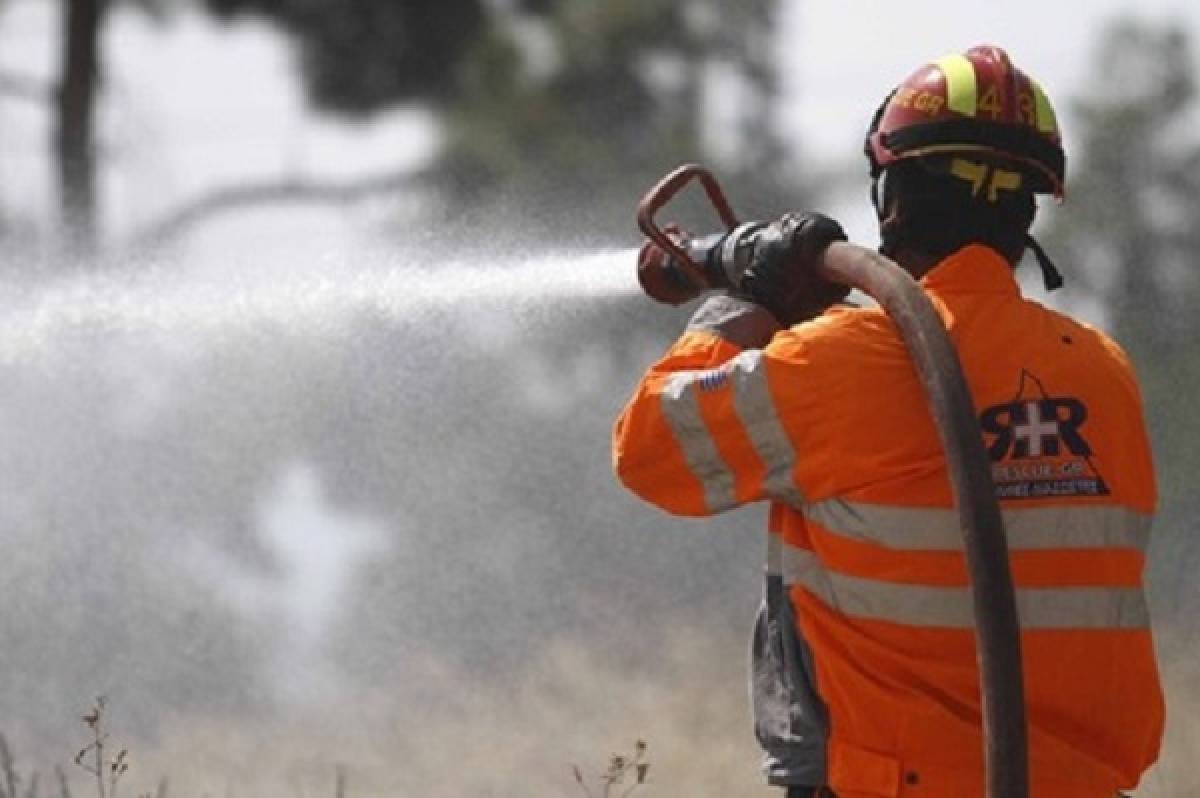 Πυρκαγιά στην περιοχή Κλήμα του νομού Φωκίδος