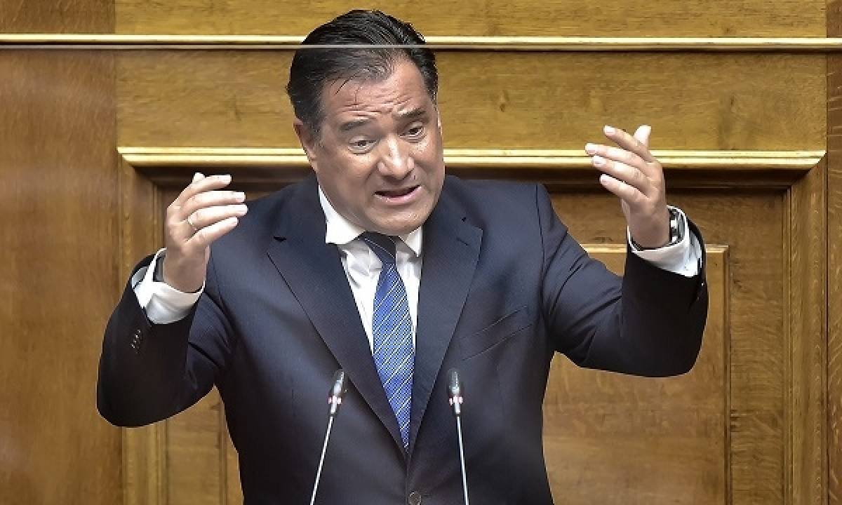 Γεωργιάδης για επίθεση στον πρύτανη:Να ξεμπερδέψουμε με την «κόκκινη» ΧΑ