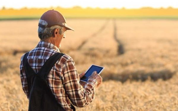 Αγροτικά: Ο ψηφιακός μετασχηματισμός φέρνει λύσεις στα δομικά προβλήματα