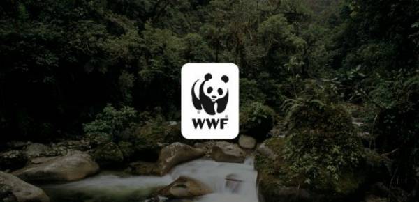 WWF: Θετική η δέσμευση Μητσοτάκη για απολιγνιτοποίηση