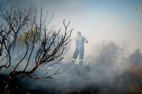 Σε ύφεση η φωτιά στην Αττική-Πρώτος απολογισμός στα αποκαΐδια