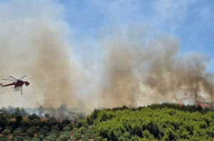 Πύρινο μέτωπο στην Ηλεία- Μήνυμα για εκκένωση οικισμών- Προσαγωγή υπόπτου