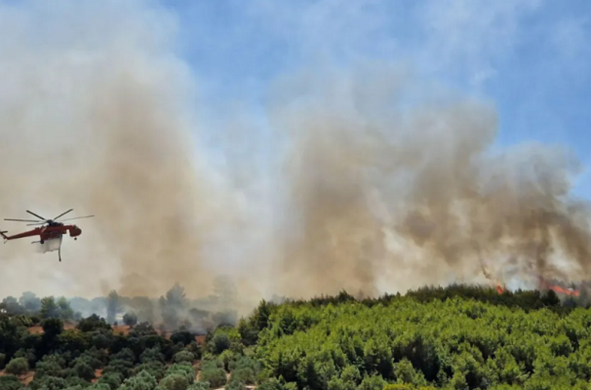 Πύρινο μέτωπο στην Ηλεία- Μήνυμα για εκκένωση οικισμών- Προσαγωγή υπόπτου