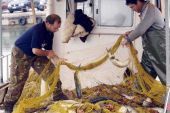 Κονδύλια 523,4 εκατ. ευρώ για την αλιεία έως το 2020