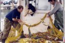 Κονδύλια 523,4 εκατ. ευρώ για την αλιεία έως το 2020