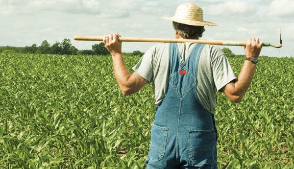 Την επόμενη εβδομάδα το 90% των επιδοτήσεων των αγροτών