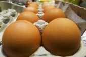 Τρώμε 300 εκατ. αυγά Τουρκίας, Βουλγαρίας και Ρουμανίας