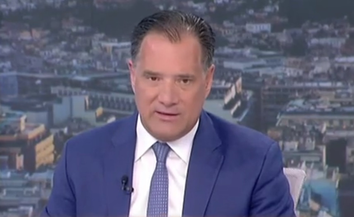 Ευρωεκλογές- Γεωργιάδης: Ο γάμος των ομόφυλων μας «κόστισε»