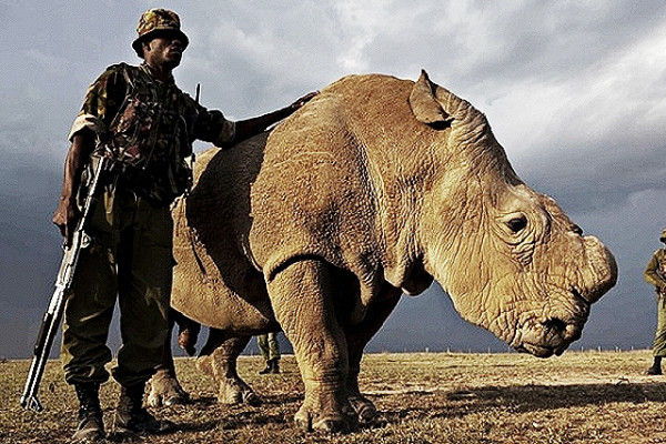 Tα θλιμμένα μάτια της μοναξιάς