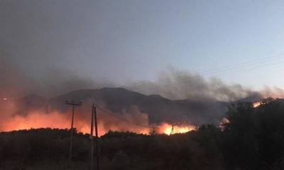 Μεγάλη φωτιά στην Αμαλιάδα: Εκκενώνεται το χωριό Δαφνιώτισσα