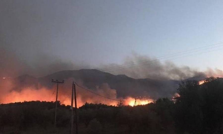 Μεγάλη φωτιά στην Αμαλιάδα: Εκκενώνεται το χωριό Δαφνιώτισσα