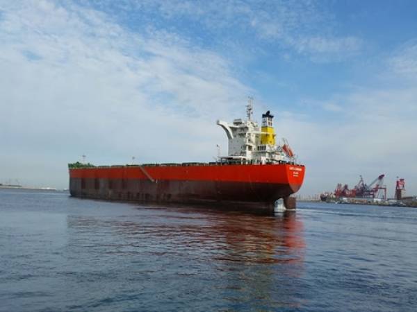 Νέα χρονοναύλωση για την Diana Shipping