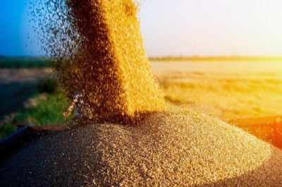 ΟΗΕ: Ζητά παράταση της συμφωνίας για τις εξαγωγές ουκρανικών σιτηρών