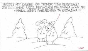 Μια αρκούδα στα νυχάδικα