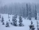 Τουλάχιστον 12 νεκροί από σφοδρές χιονοπτώσεις στις ανατολικές ΗΠΑ