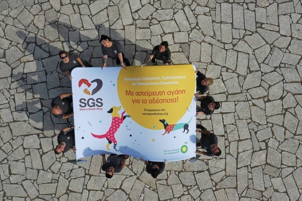 Η SGS και τα πρατήρια BP συμπράττουν για τα αδέσποτα