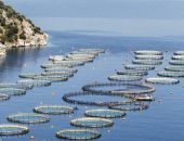 «Ώρα αποφάσεων» για την αναδιάρθρωση των Σελόντα και Νηρέα