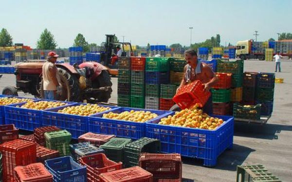 Ρωσικό εμπάργκο: Τα έκτακτα μέτρα της Κομισιόν για την ενίσχυση των παραγωγών ροδακίνων και νεκταρινιών