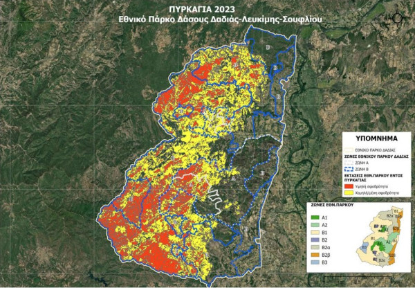 Αποτίμηση επιπτώσεων πυρκαγιάς στο δάσος της Δαδιάς-Γλίτωσε μόνο το 42%