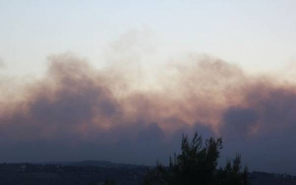 Συστάσεις της ΓΕΝΟΠ προς τους καταναλωτές για τις πυρκαγιές