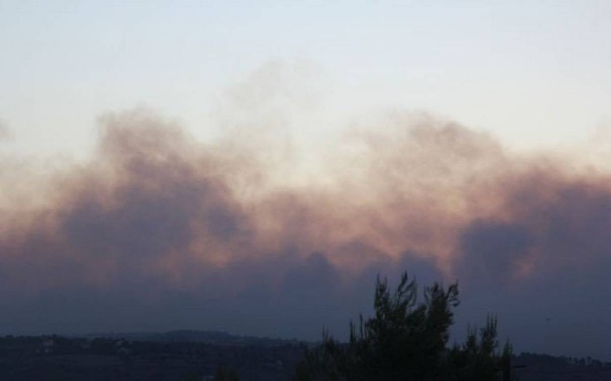 Συστάσεις της ΓΕΝΟΠ προς τους καταναλωτές για τις πυρκαγιές