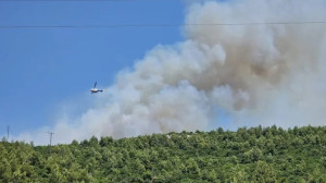 Μία σύλληψη για την πυρκαγιά στο Μαρκόπουλο-Μήνυμα Κικίλια για προσοχή