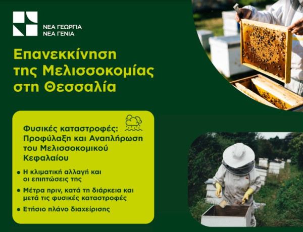 Επανεκκίνηση της Μελισσοκομίας στη Θεσσαλία- Επιμορφωτικό εργαστήριο στην Καρδίτσα
