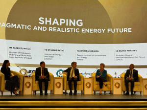 Σδούκου: Με όραμα, αλλά και ρεαλισμό στο δρόμο για το net zero