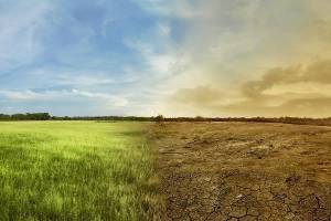 Ευρωκοινοβούλιο: Ακόμα μεγαλύτερος στόχος μείωσης των ρύπων και κλιματική ουδετερότητα