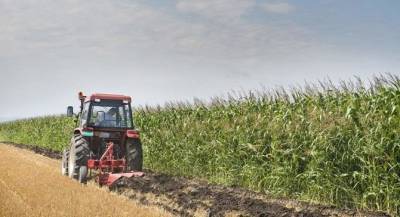 Απαλλάσσονται απο τον ΦΠΑ νέοι αγρότες με τζίρο μέχρι €10.000