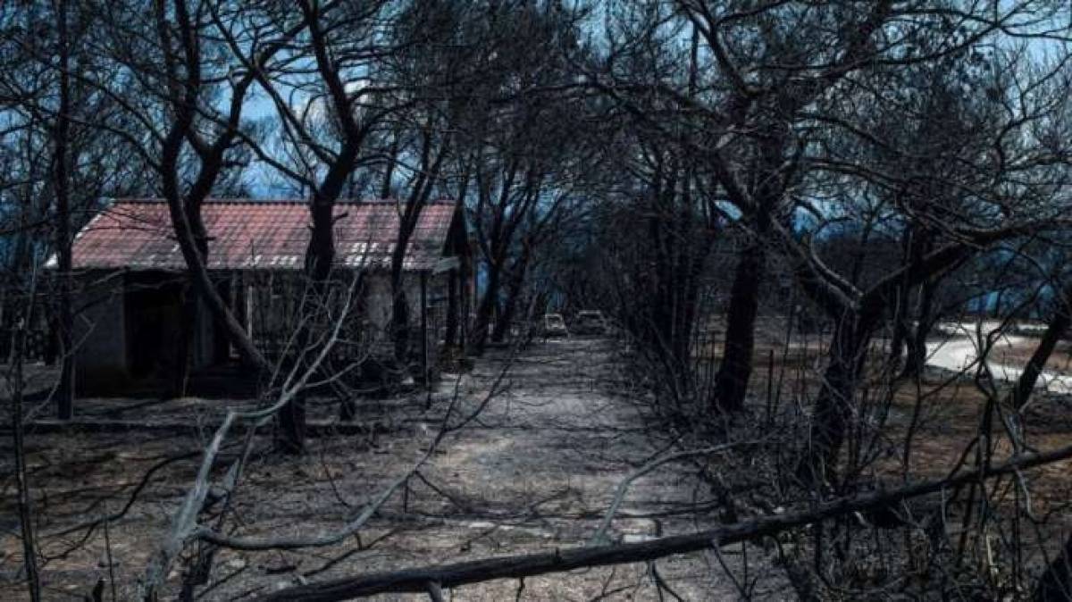 Ιnteramerican: Στα €5,22 εκατ. οι αποζημιώσεις από τις πυρκαγιές