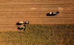ΑΑΔΕ-myAGRO: Απλουστεύσεις στην υποβολή της Ενιαίας Αίτησης Ενίσχυσης