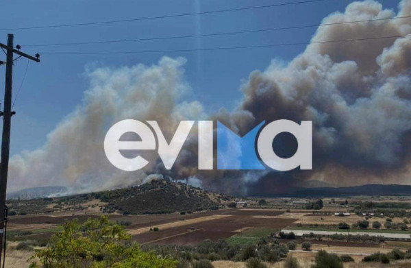Συναγερμός στην Εύβοια: Δύο ταυτόχρονες πυρκαγιές στα Ψαχνά- Ήχησε 112