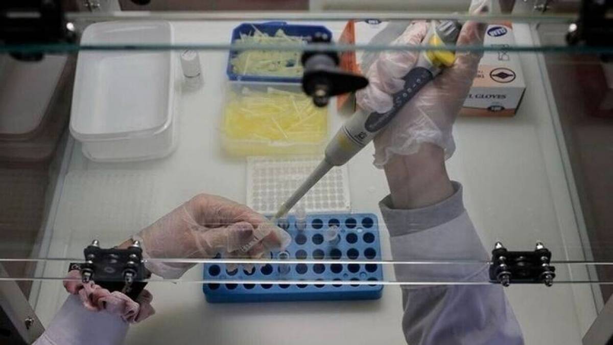 Ιικό φορτίο: «Εκτοξεύθηκε» στο 9,17% η θετικότητα στην Μύκονο