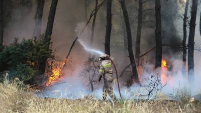 Νέες αναζωπυρώσεις στις πυρκαγιές στην Ηλεία