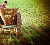 Μείωση 1,1% στις τιμές εκροών στη Γεωργία-Κτηνοτροφία