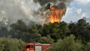 Δύσκολη νύχτα στον Φενεό Κορινθίας: Εκκενώθηκαν χωριά, καίγεται παρθένο δάσος - Δύο προσαγωγές