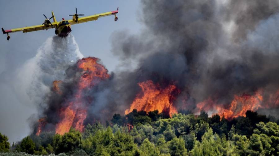 ΓΓΠΠ: Πολύ υψηλός κίνδυνος πυρκαγιάς την Πέμπτη (1/7)